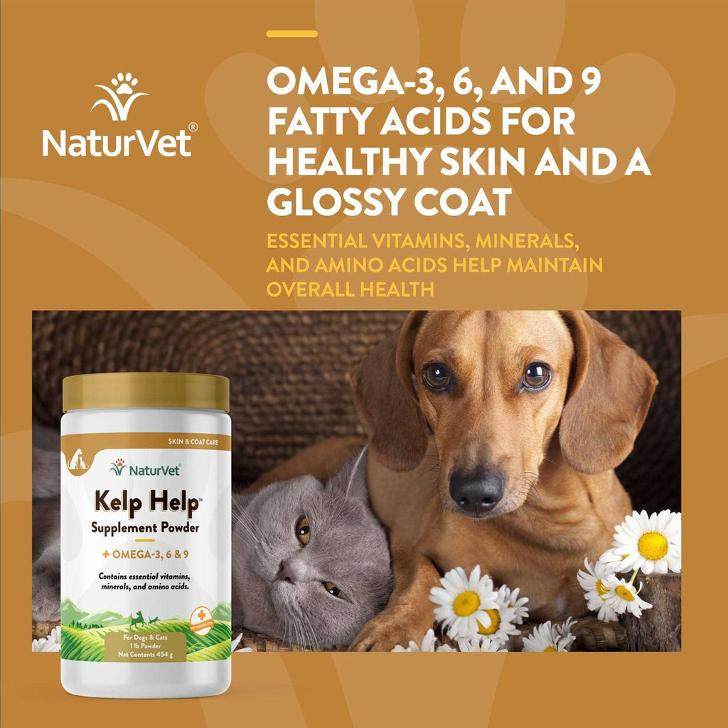 Kelp Help Powder H64791