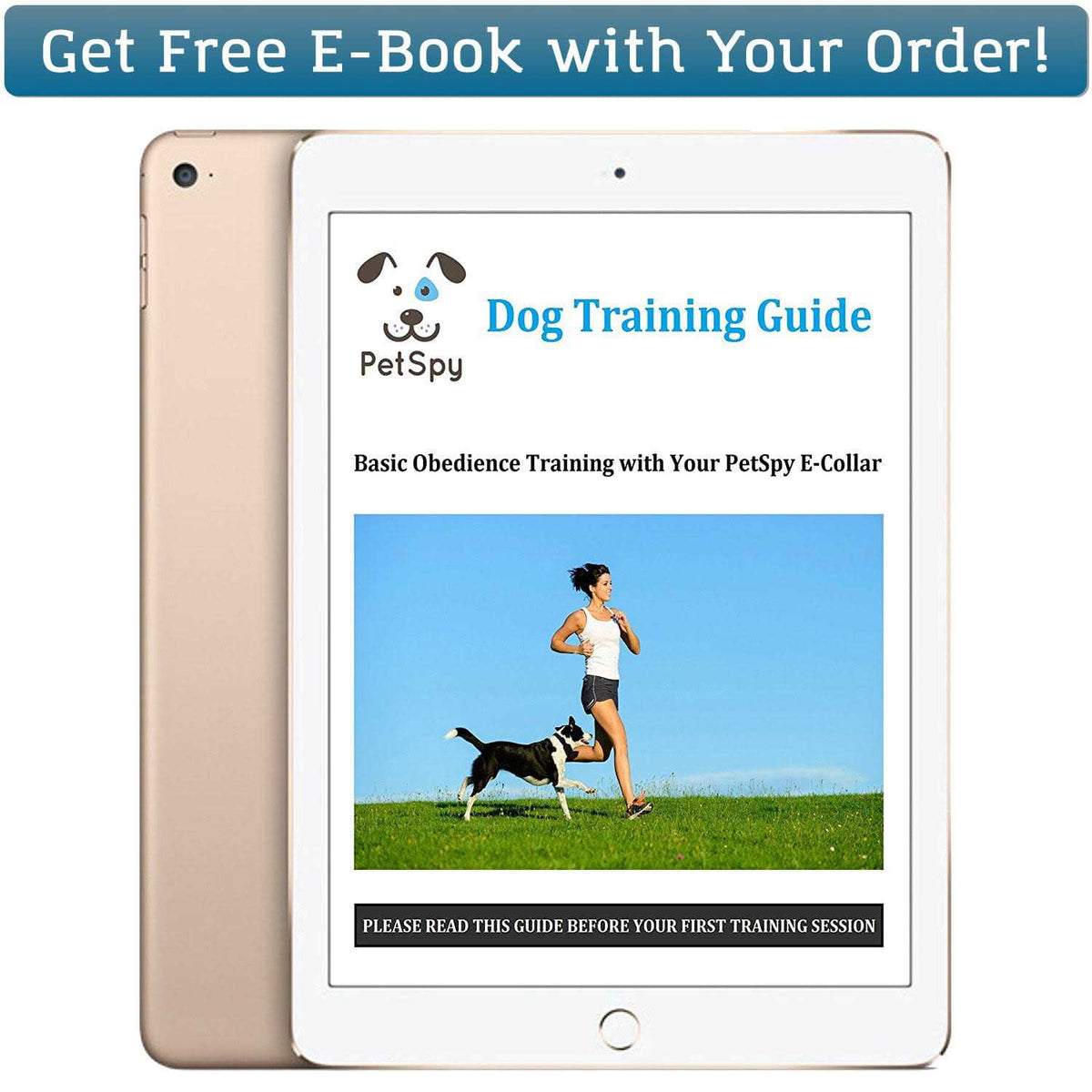 Dual Dog Training Shock Collar for 2 Dogs P645
