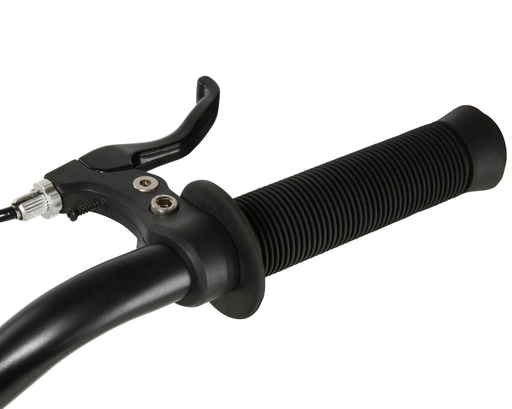 24-Inch BMX Bike H32333
