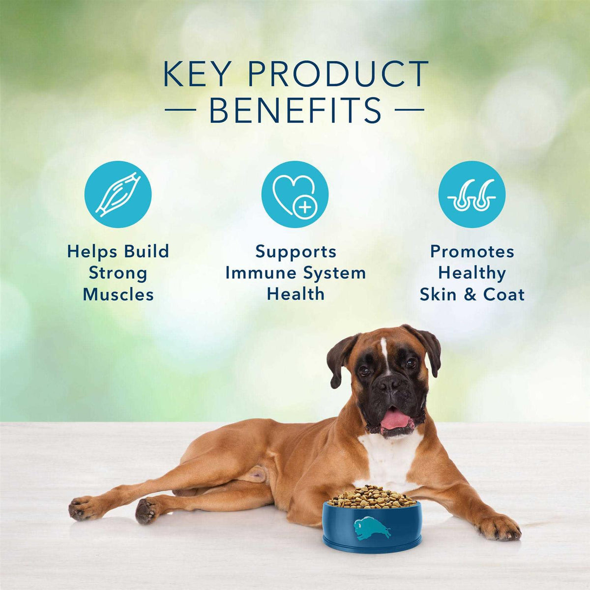 Grain-Free Lamb Recipe Dry Dog Food W6851