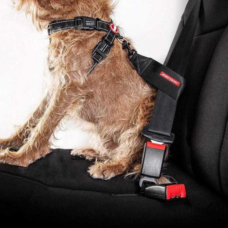 Seat Belt Restraint C392765