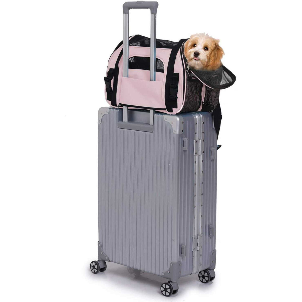 Soft Pet Carrier X833