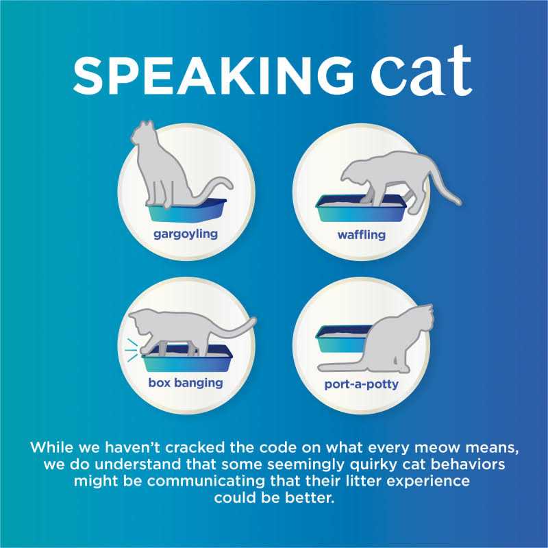 Scented Clumping Cat Litter M65097