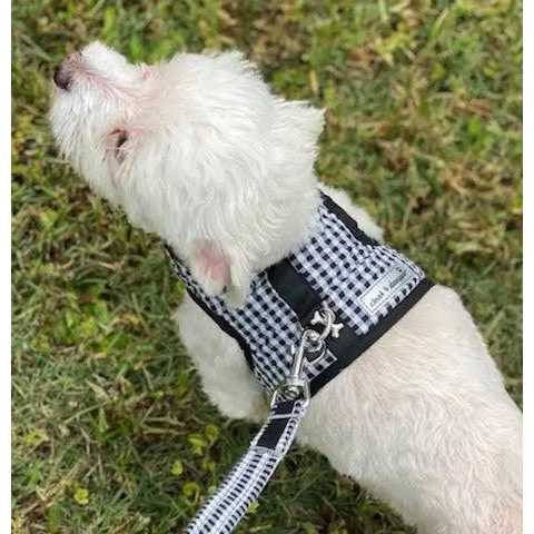Gingham Dog Harness Vest K52691