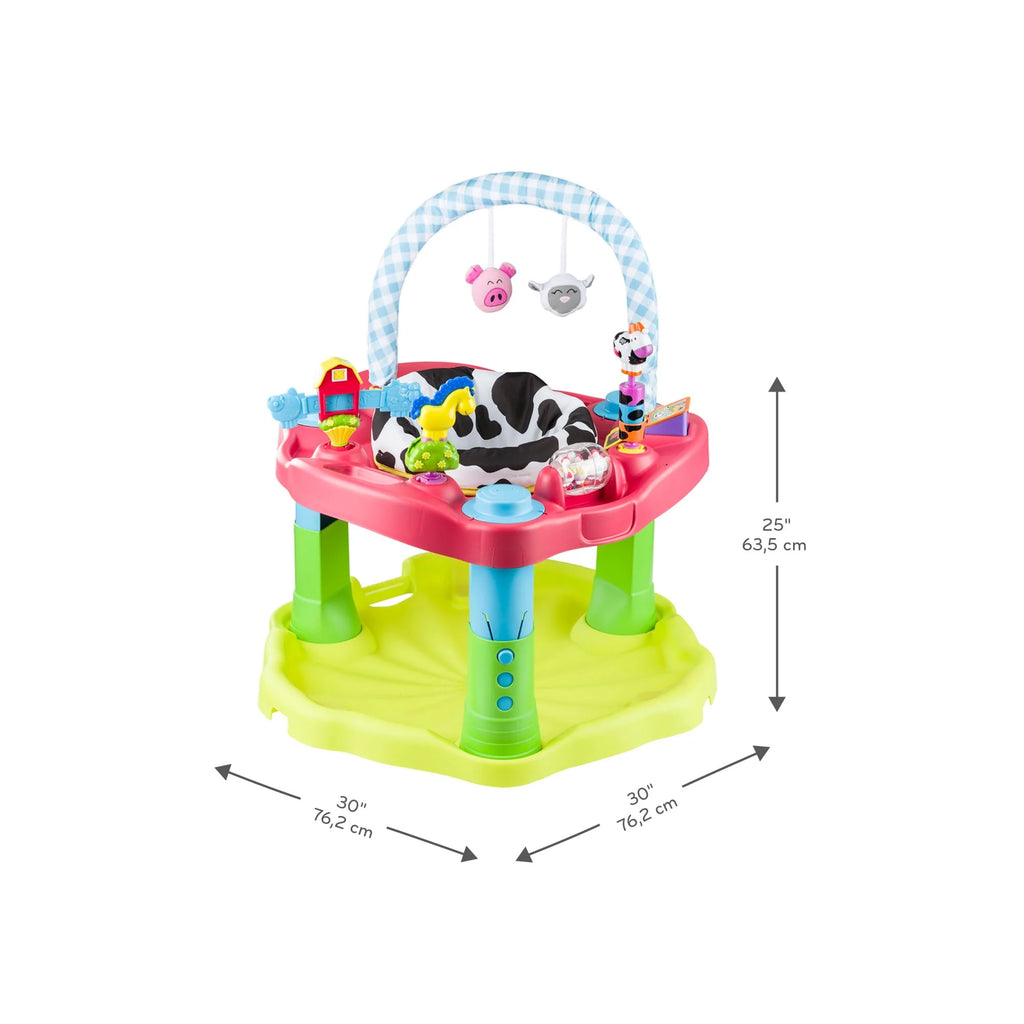 Bouncing Activity Saucer R910