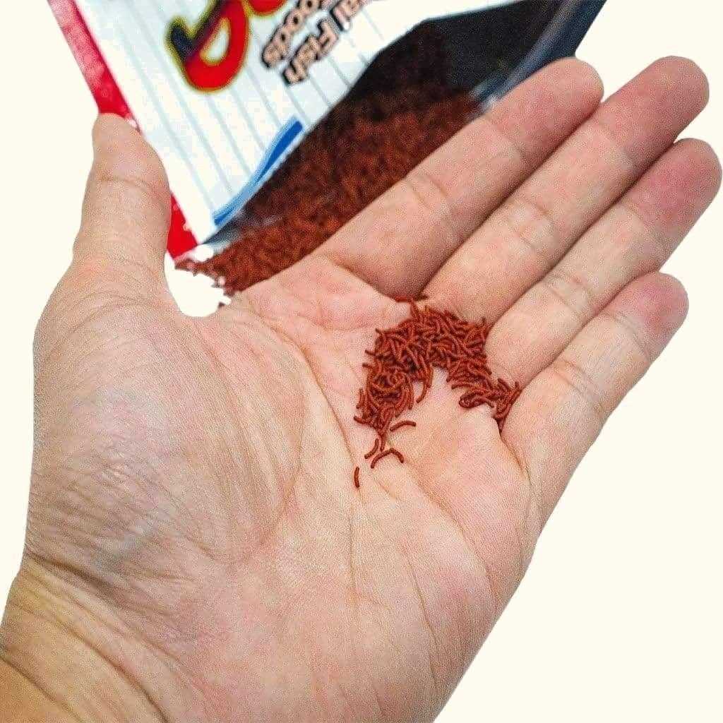 Tropical Fish Food R803541