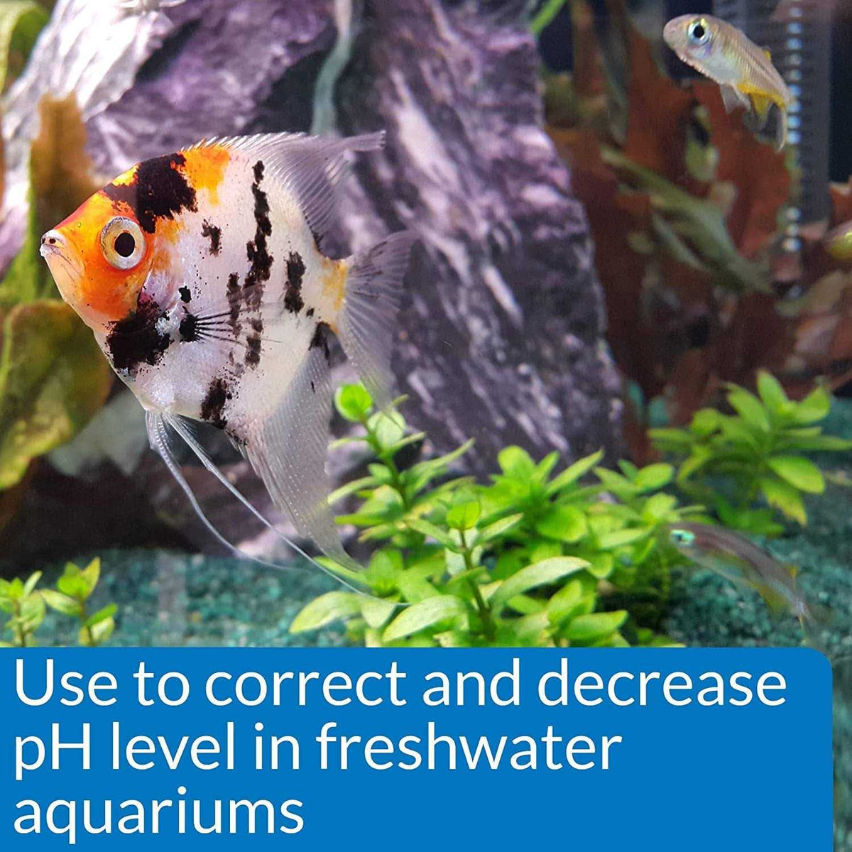 Aquarium pH Down P760