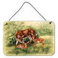 Deer Wall or Door Hanging Prints 8x12 B39788