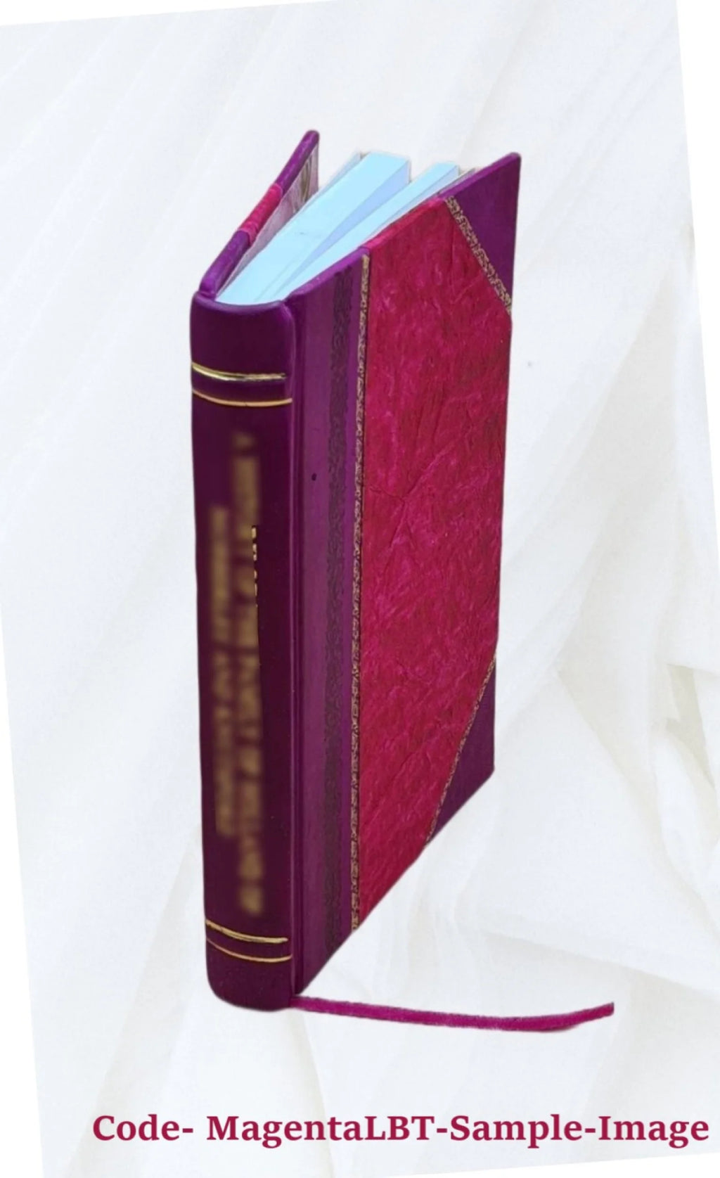 Kentucky State Historical Society Volume 21 Leather Bound Q629