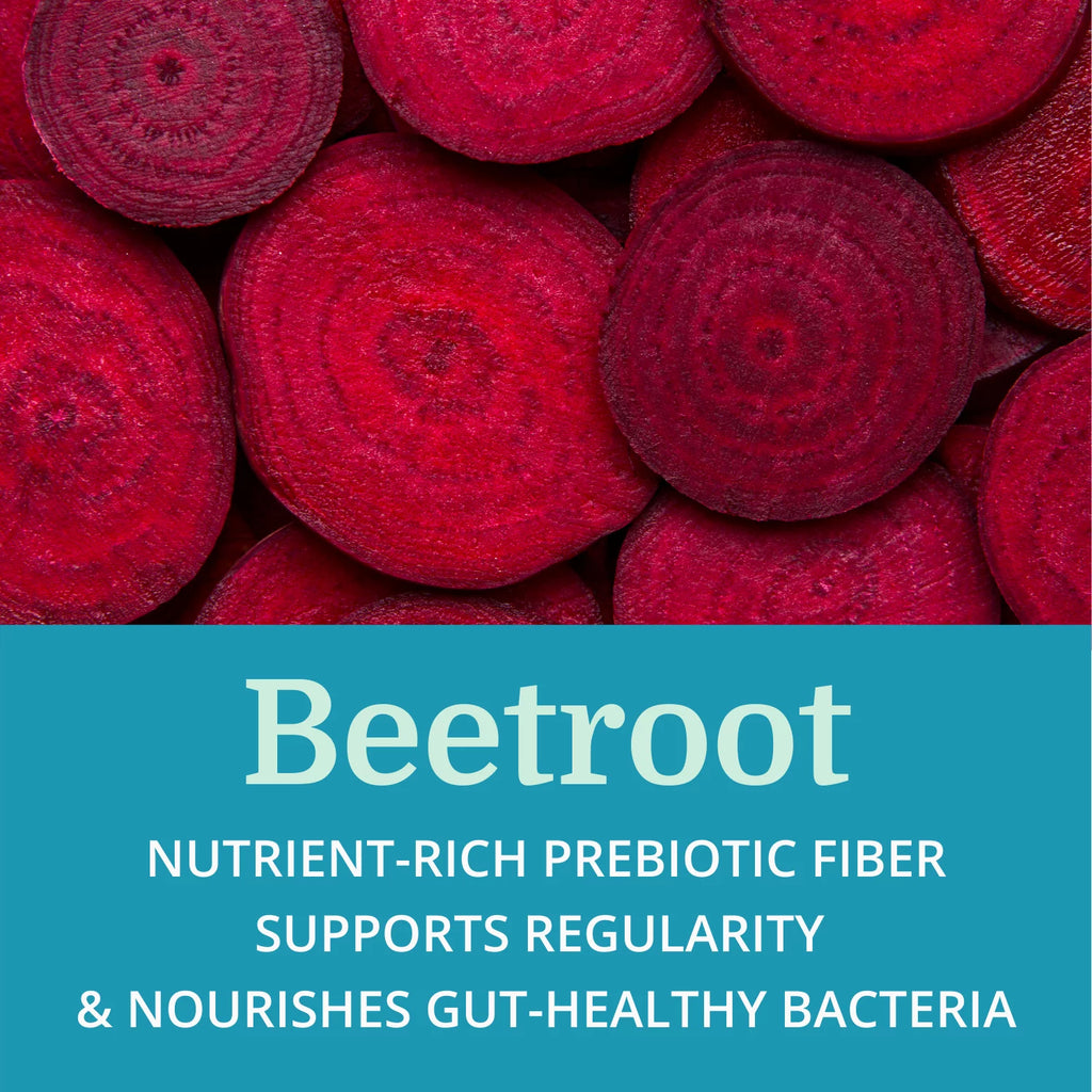 Probiotic & Prebiotic Digestive Supplement T7140