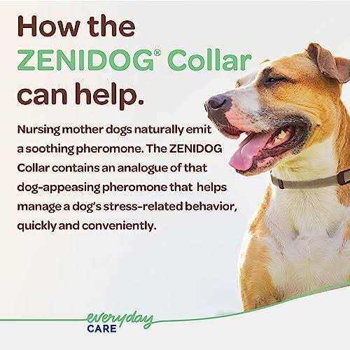 Long-acting Collar Medium/large S250