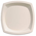 Ivory 10" Plates 125 pack W504