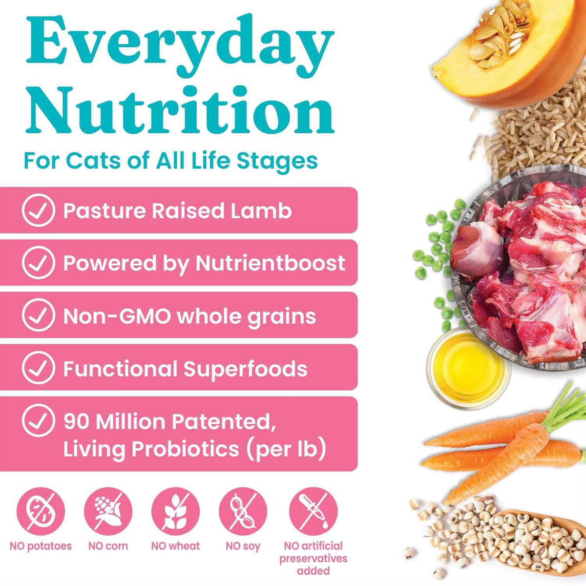 Dry Cat Food with Lamb B949