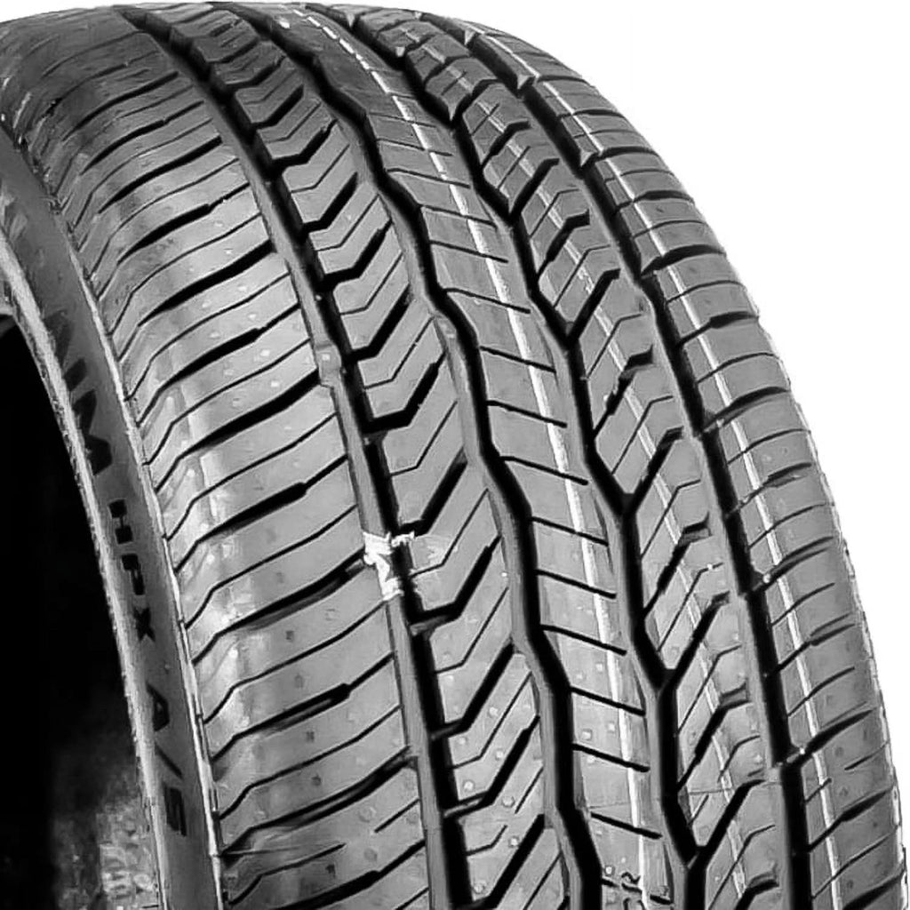 225/55R17 97V All Season Passenger Tire R491