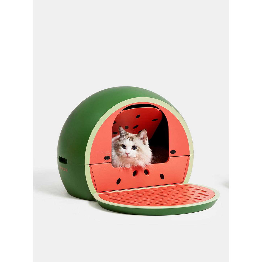 Kitty Kove B971011