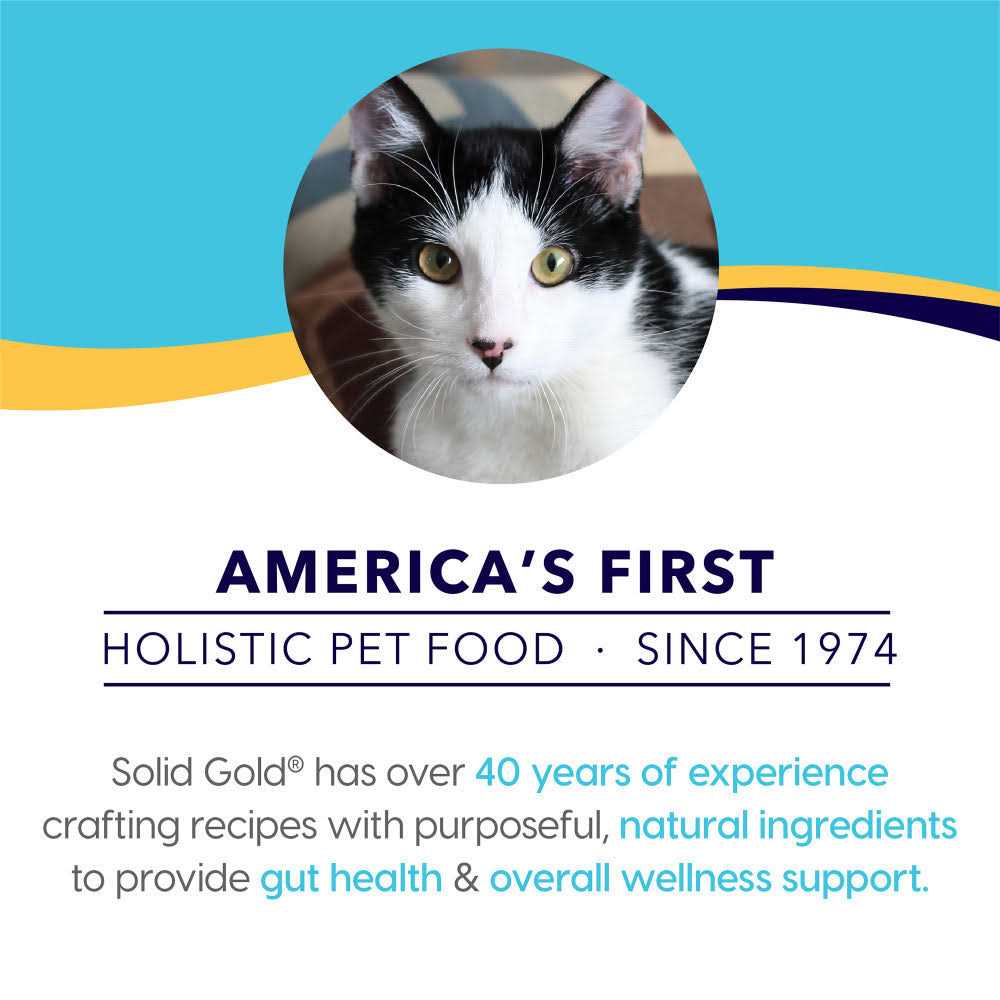 Dry Cat Food with Lamb B949