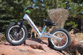 Green Balance Bike E1916
